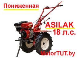 ASILAK SL-187L Пониженная - фото